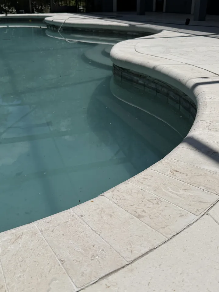 Rounded marble coping meeting a marble paver field along the curved edge of a pool